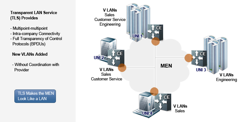 Transparent LAN Service (TLS) Provides